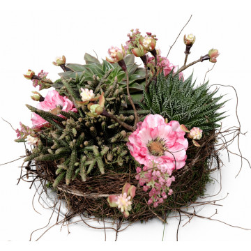 Plantentaart met Zijde Roze