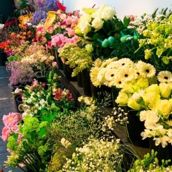 Dagverse bloemen in bloemenwinkel